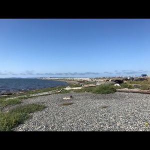 Meet your Posher, Joanne